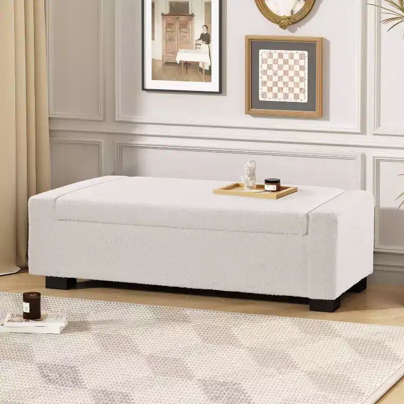 Christopher Knight Home Silas Indoor Upholstered Modern Storage Ottoman Beige