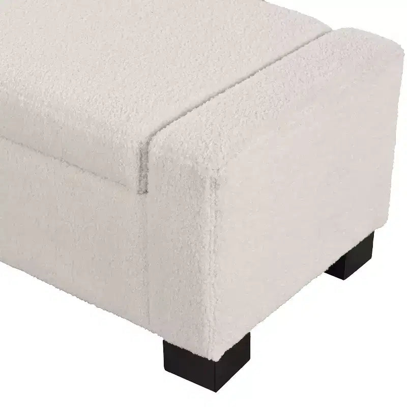 Christopher Knight Home Silas Indoor Upholstered Modern Storage Ottoman Beige