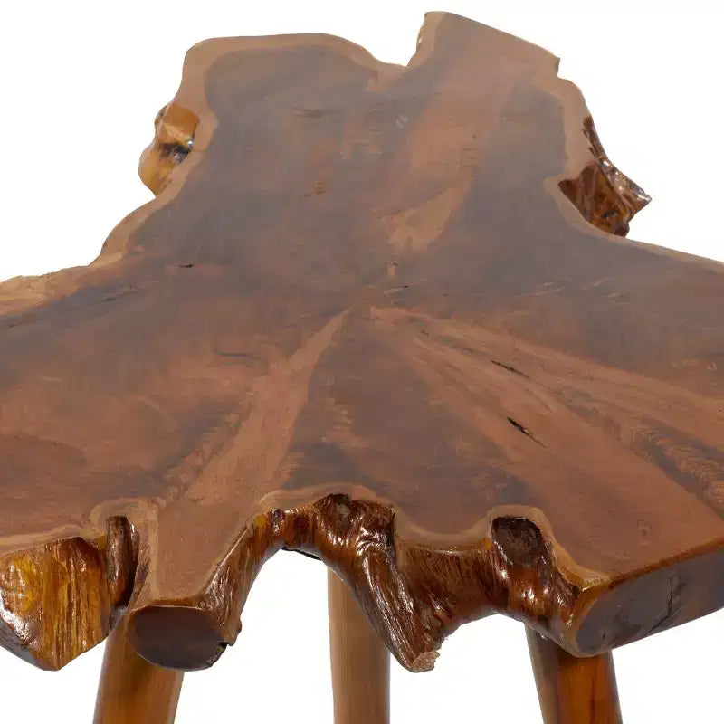 Rustic Solid Teak Wood Accent Table Brown - Olivia & May
